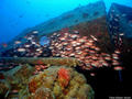 foto de buceo