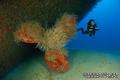 foto de buceo