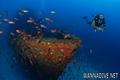 foto de buceo