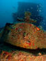 foto de buceo
