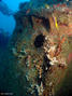 foto de buceo