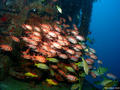 foto de buceo
