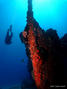 foto de buceo