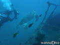 foto de buceo