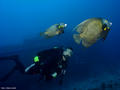 foto de buceo