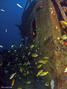 foto de buceo