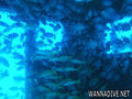 foto de buceo
