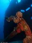 foto de buceo