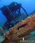 foto de buceo