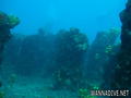 foto de buceo