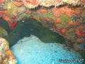 foto de buceo