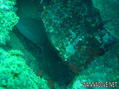 foto de buceo