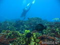 foto de buceo
