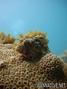 foto de buceo