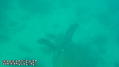 foto de buceo
