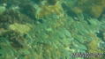 foto de buceo