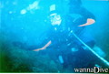 foto de buceo