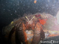 foto de buceo