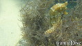 foto de buceo
