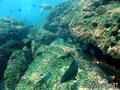 foto de buceo