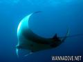 foto de buceo