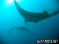 foto de buceo