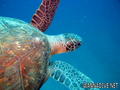foto de buceo