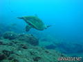 foto de buceo