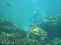 foto de buceo