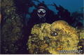 foto de buceo