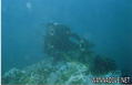 foto de buceo