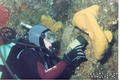 foto de buceo