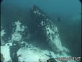 foto de buceo