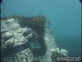 foto de buceo