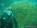 foto de buceo