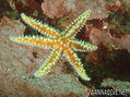 foto de buceo