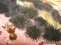 foto de buceo