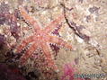 foto de buceo