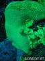 foto de buceo