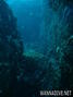 foto de buceo