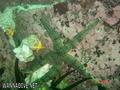 foto de buceo