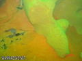foto de buceo