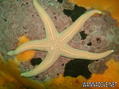 foto de buceo