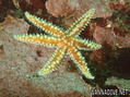 foto de buceo
