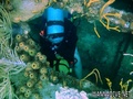 foto de buceo
