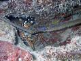 foto de buceo