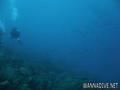 foto de buceo