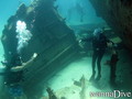 foto de buceo