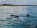 foto de buceo
