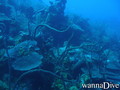foto de buceo